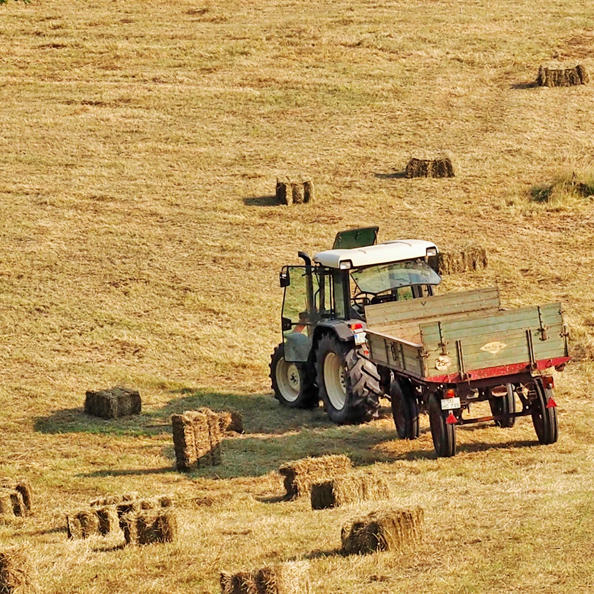 Landwirtschaft in Söven